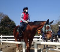 青空の下「乗馬」の集中講義が実施されました！