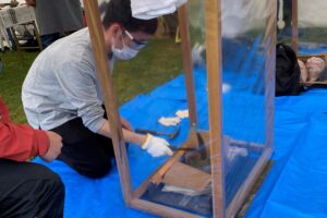 活動の様子