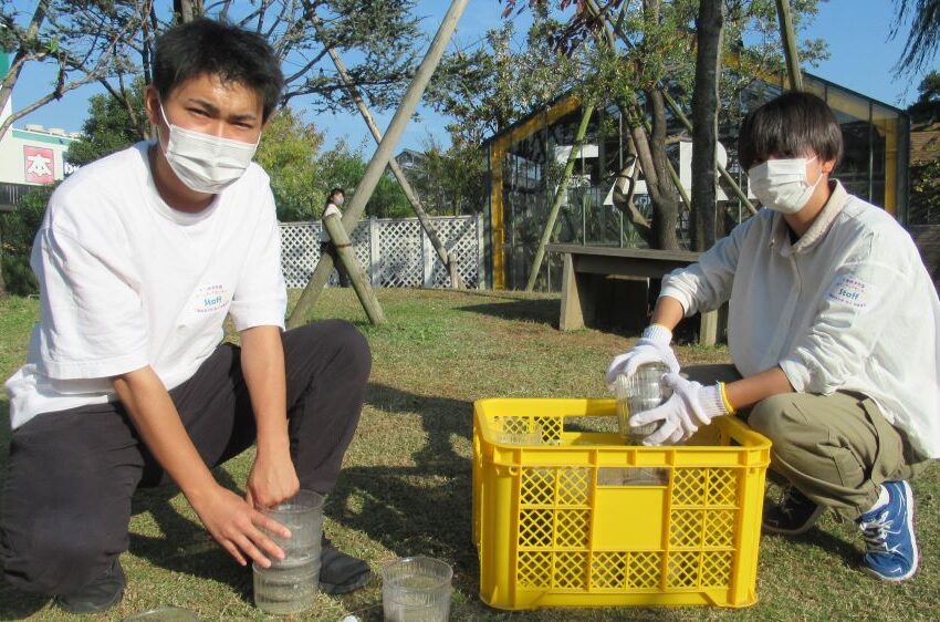 活動の様子