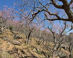 ビジネスライフ学科のブログが更新されました